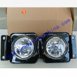 Truck combinatory lamp